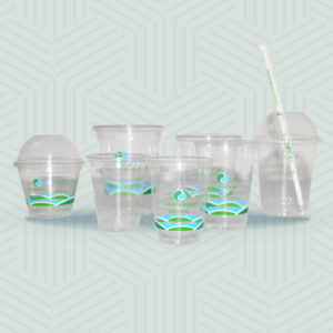 Vasos Compostables